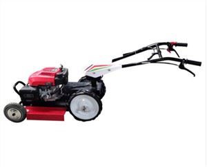 Peiriant torri gwair LS-250B